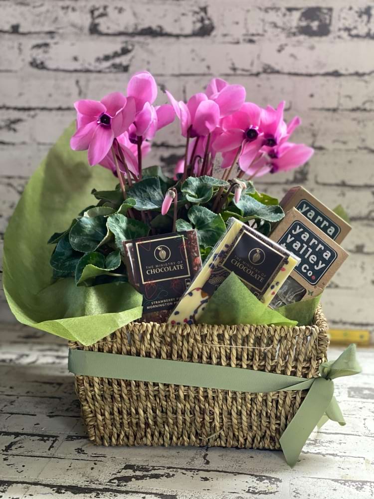 Cyclamen, Chocolate & Tea Gift Basket