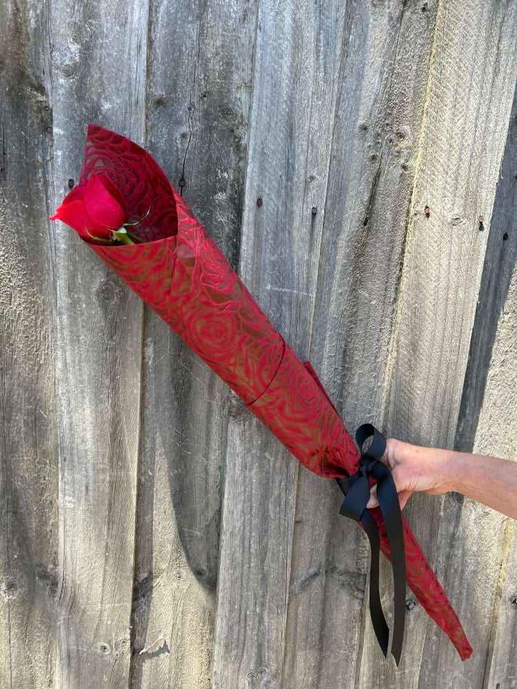 Long Stem Red Rose
