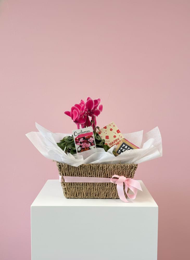 Mother`s Day Cyclamen Hamper 