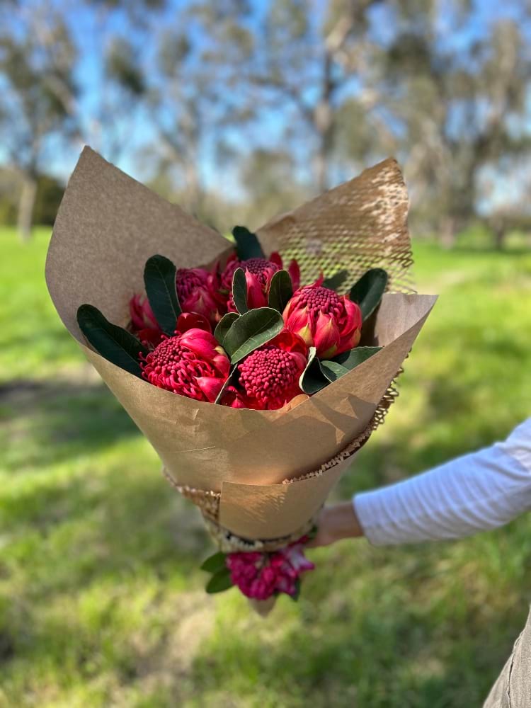 Waratah