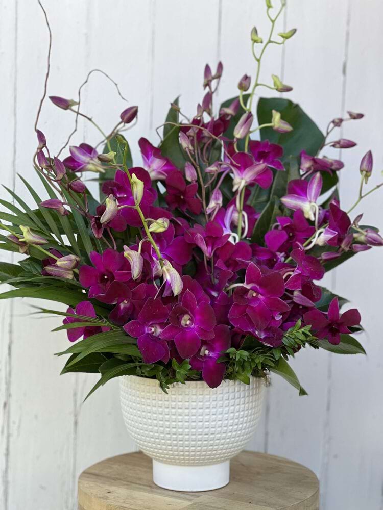 Orchid Ceramic Arrangement (Purple)