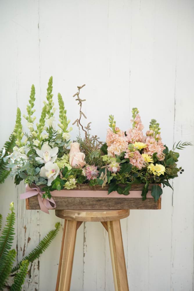 Garden Box