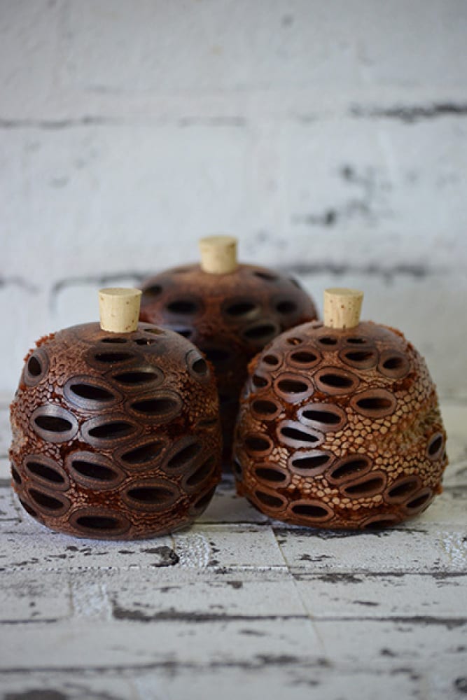 Banksia Aroma Pods