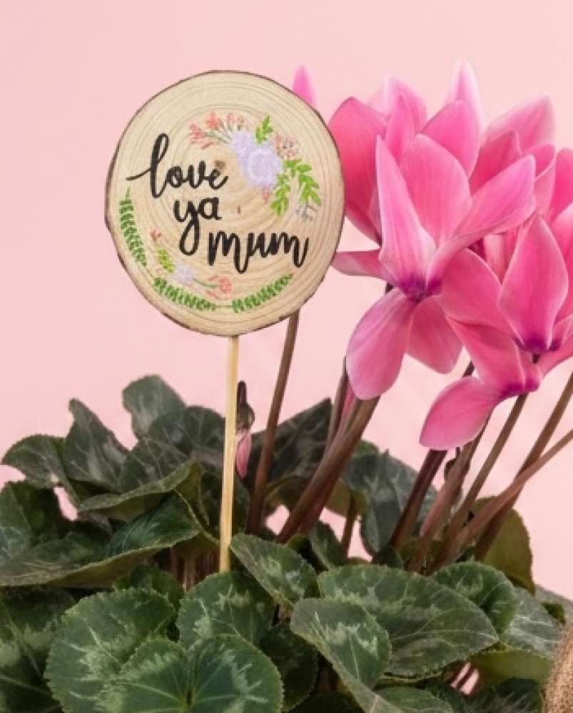 Mother`s Day Sign