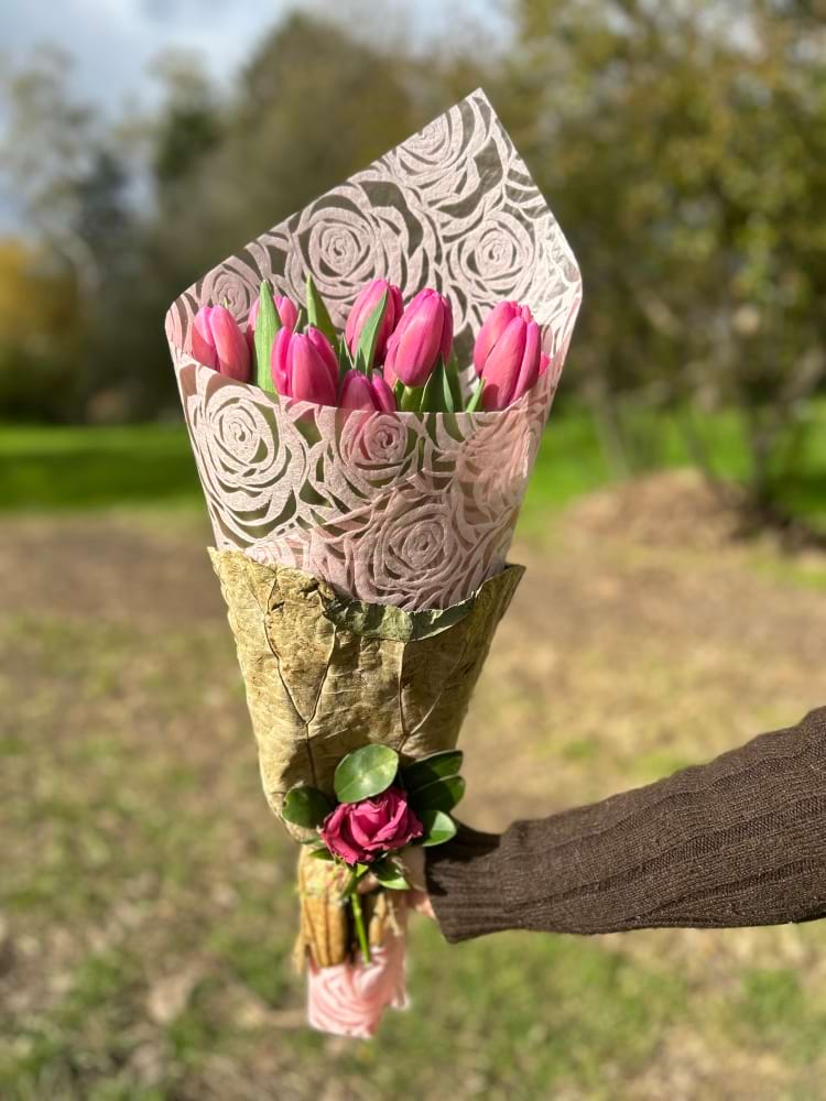 Pastel Tulips