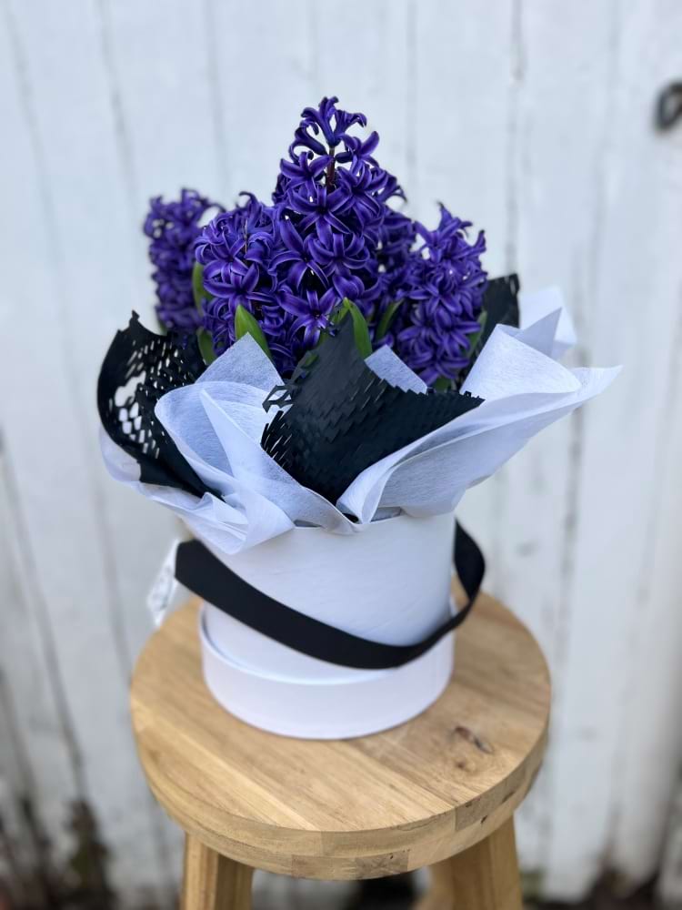Hyacinth Hatbox 