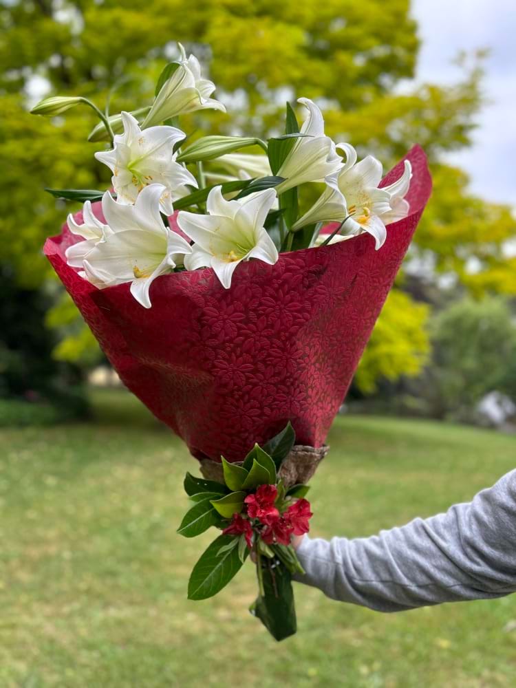 Christmas Lilies