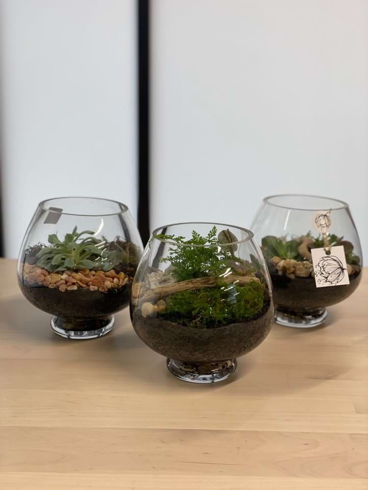 Small Mushroom Terrarium