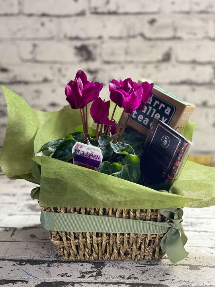 Cyclamen, Chocolate & Tea Gift Basket â€“ Small