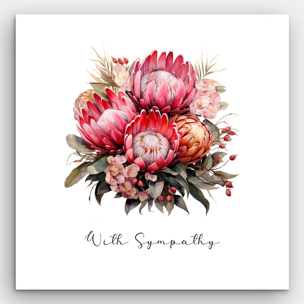 Sympathy Protea 